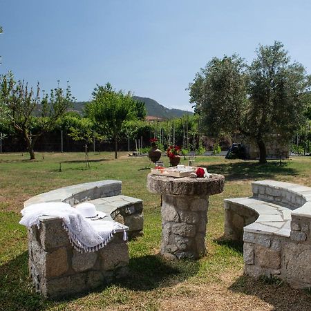 Villa Tsitreli Сикия Экстерьер фото